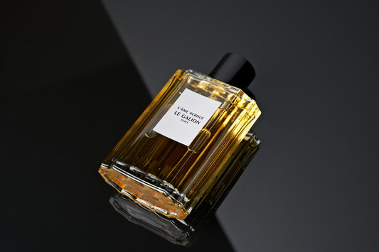 L’ÂME PERDUE