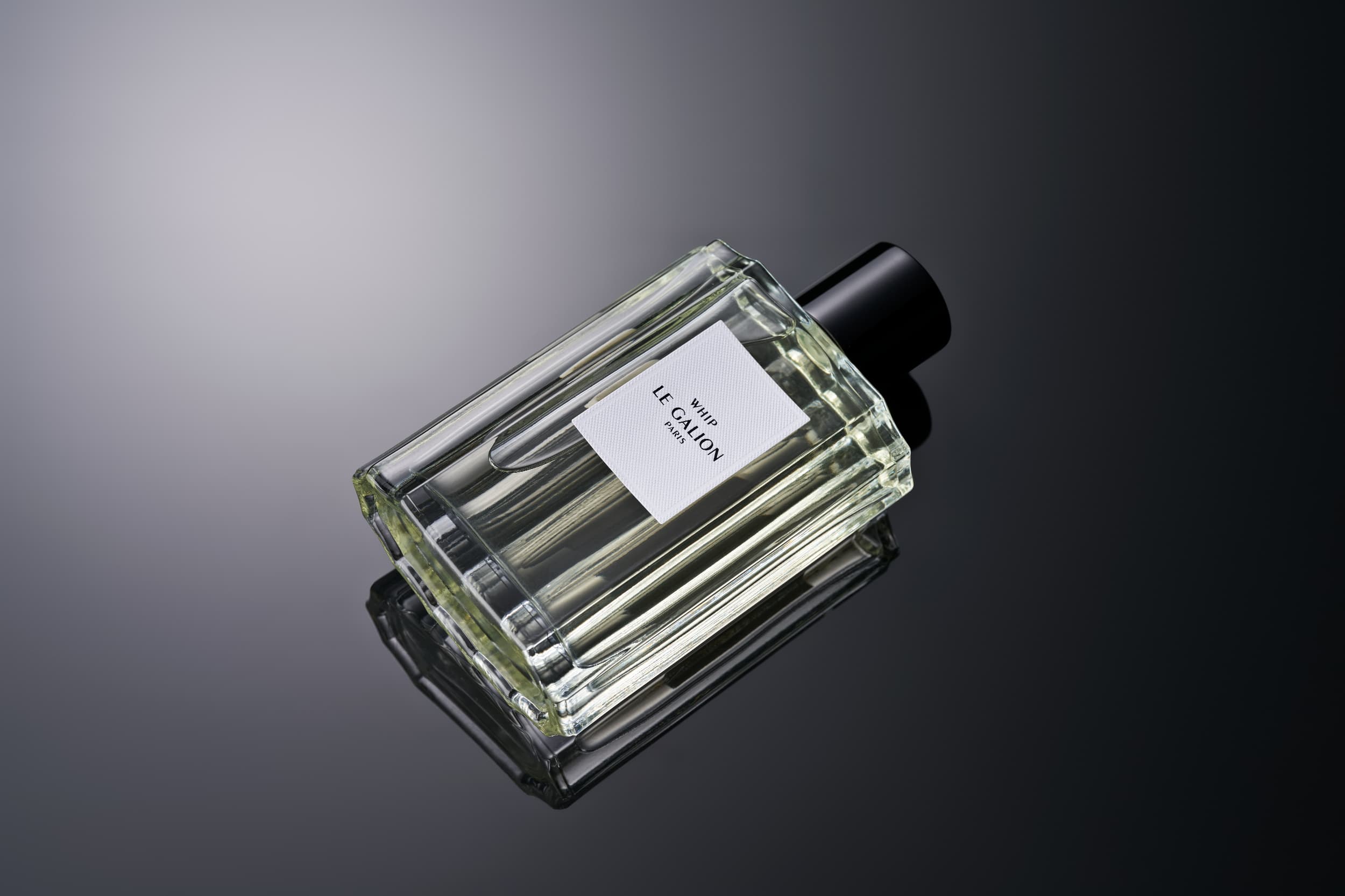 WHIP – LE GALION