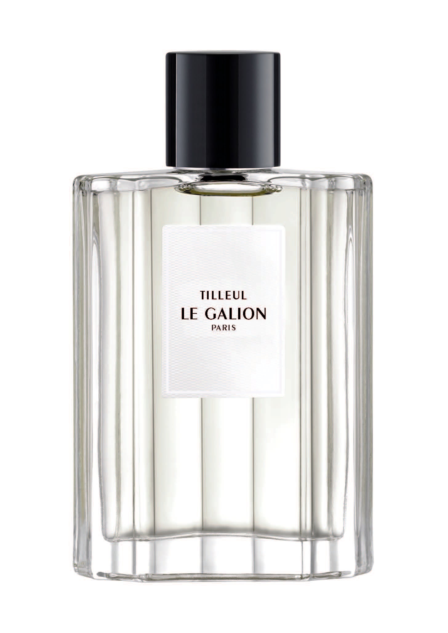 TILLEUL – LE GALION